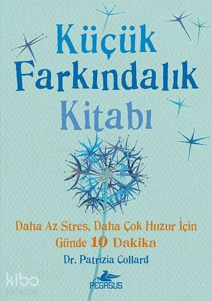 Küçük Farkındalık Kitabı