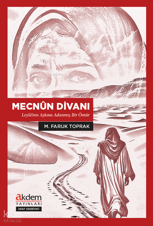 Mecnûn Divanı