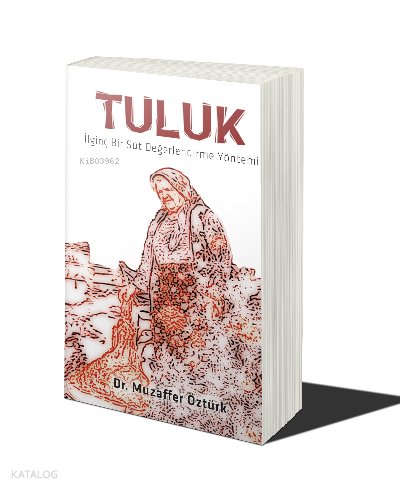 Tuluk