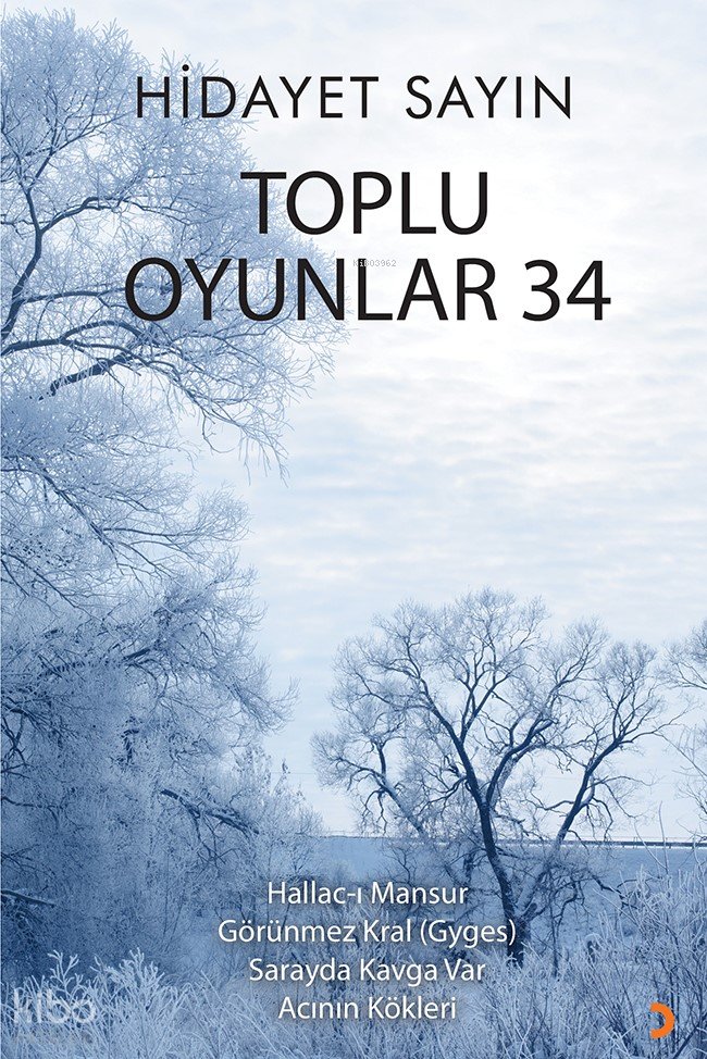 Toplu Oyunlar 34 - Hidayet Sayın