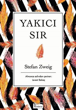 YAKICI SIR - BEZ CİLT