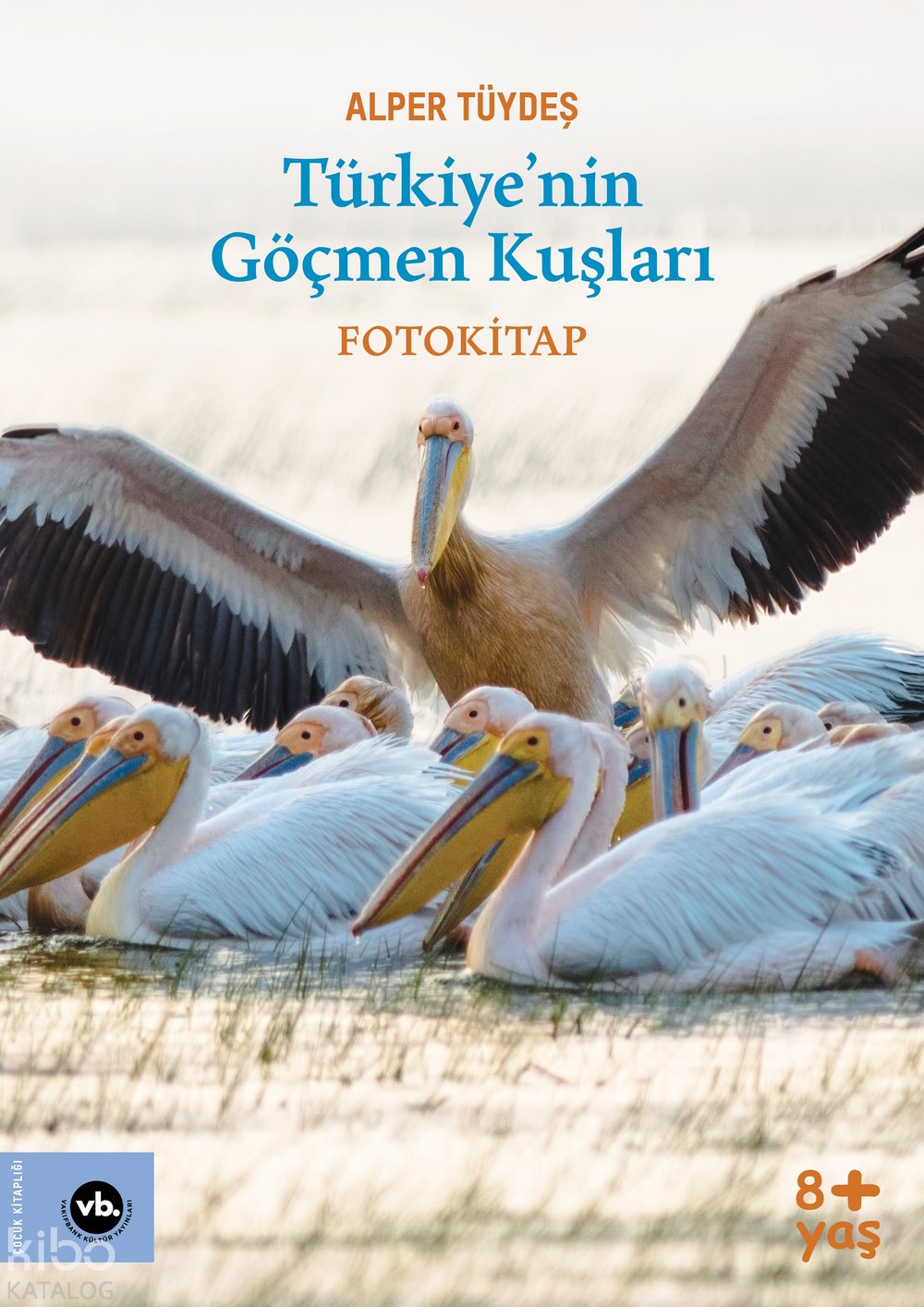 Türkiye'nin Göçmen Kuşları - Fotokitap - Alper Tüydeş