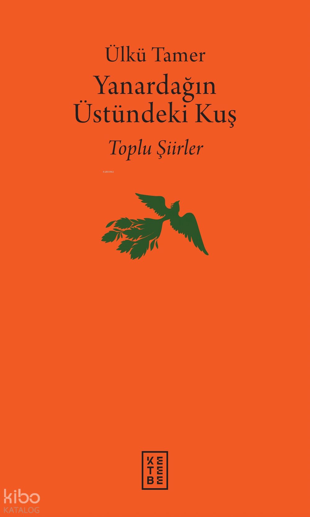 Yanardağın Üstündeki Kuş