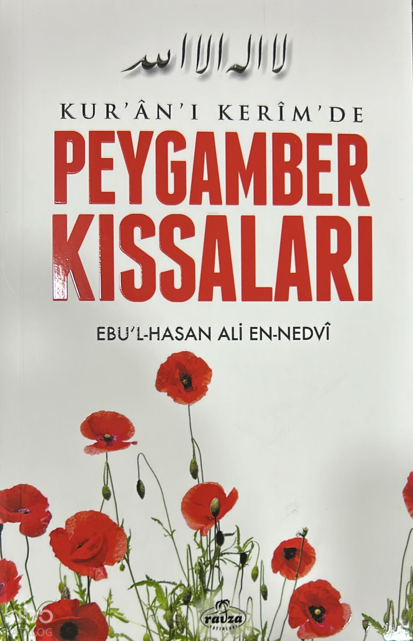 Kur'an-ı Kerim'de Peygamber Kıssaları - Ebu`l Hasan Ali En-Nedvi