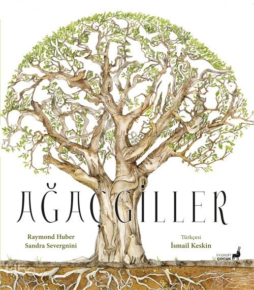 Ağaçgiller