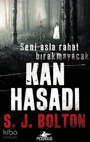 Kan Hasadı - S. J. Bolton