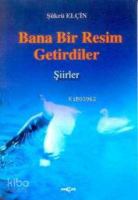 Bana Bir Resim Getirdiler - Şükrü Elçin