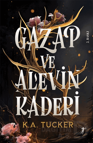 GAZAP VE ALEVİN KADERİ - CİLTLİ