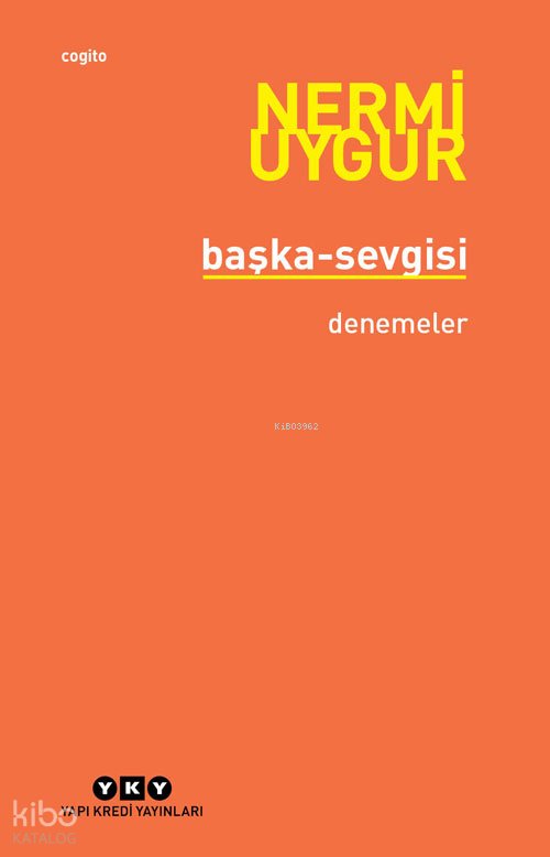Başka Sevgisi - Nermi Uygur