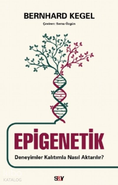 Epigenetik