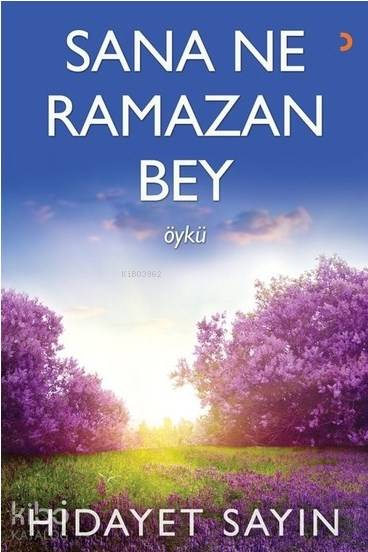 Sana Ne Ramazan Bey - Hidayet Sayın