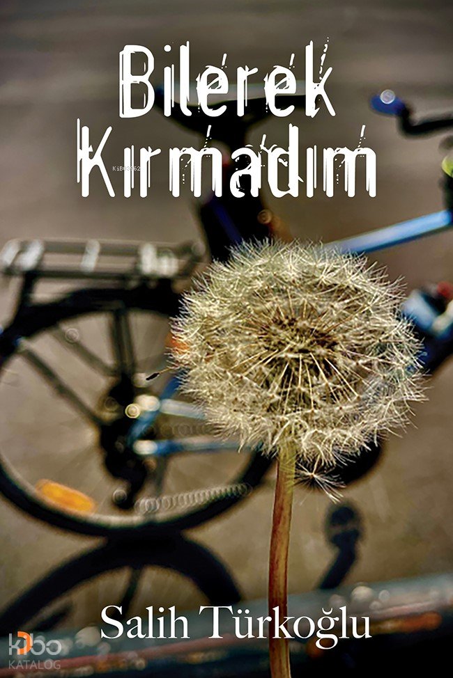 Bilerek Kırmadım