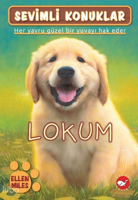 Lokum