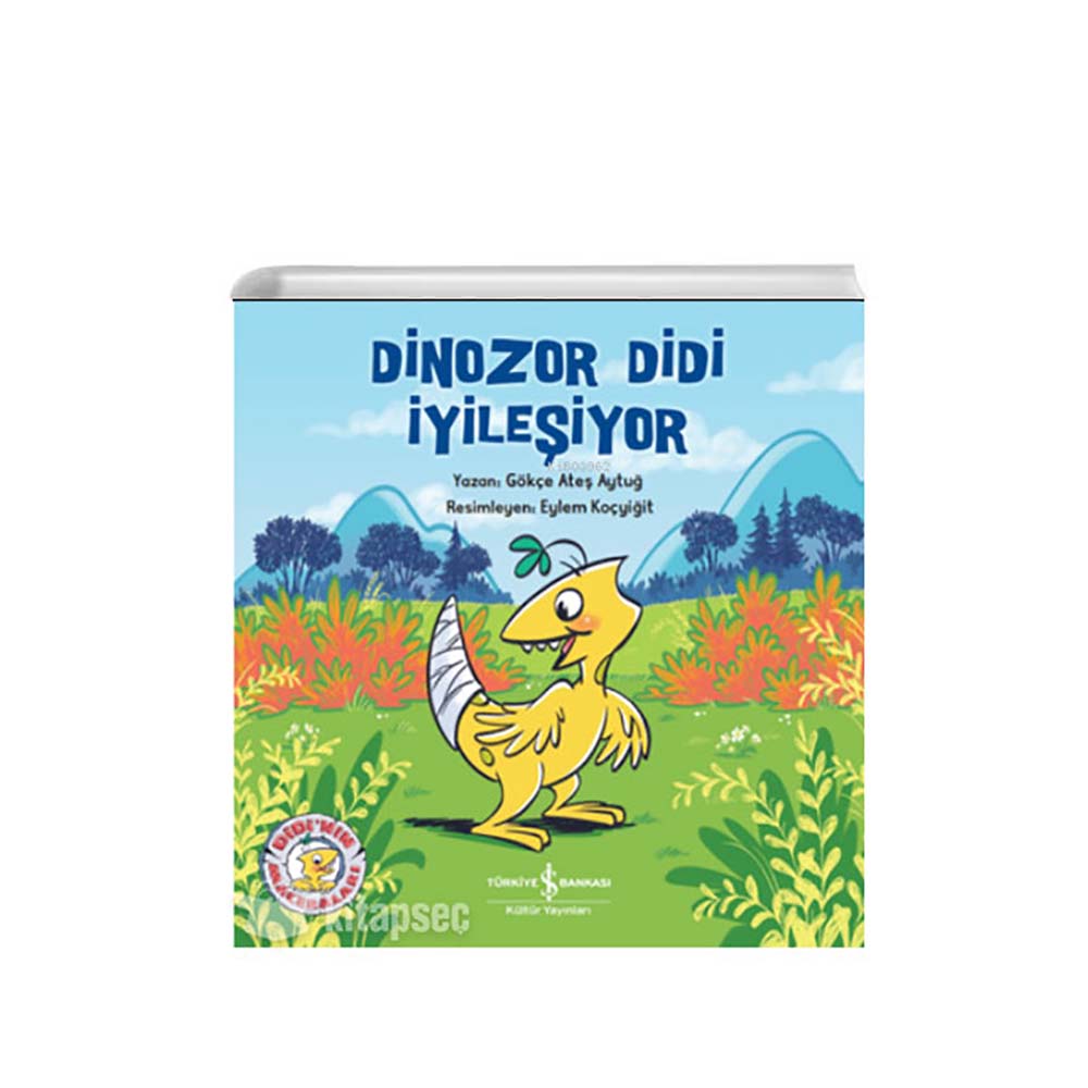 DİNOZOR DİDİ İYİLEŞİYOR