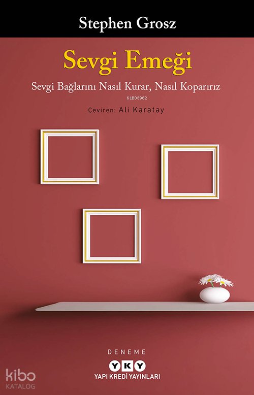Sevgi Emeği - Stephen Grosz