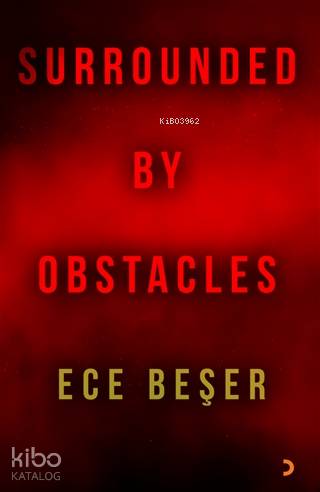 Surrounded By Obstacles - Ece Beşer
