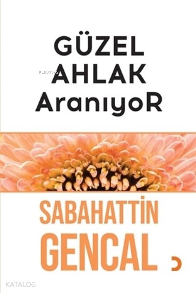 Güzel Ahlak Aranıyor - Sabahattin Gencal
