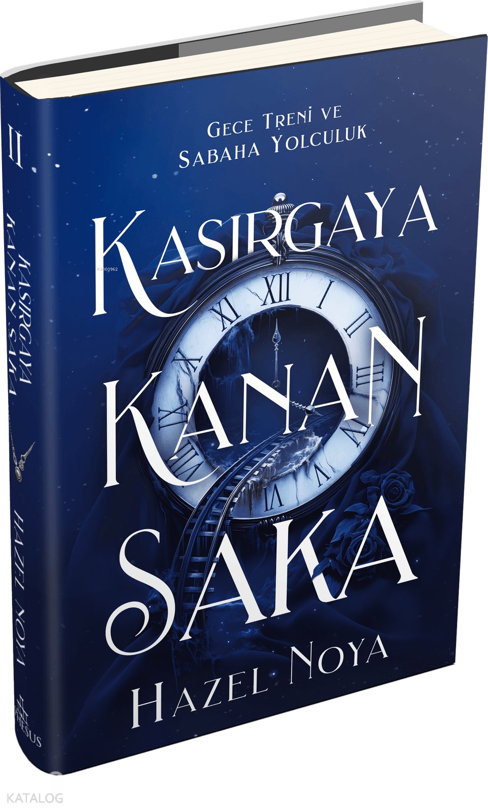 Kasırgaya Kanan Saka 2 (Ciltli) - Hazel Noya