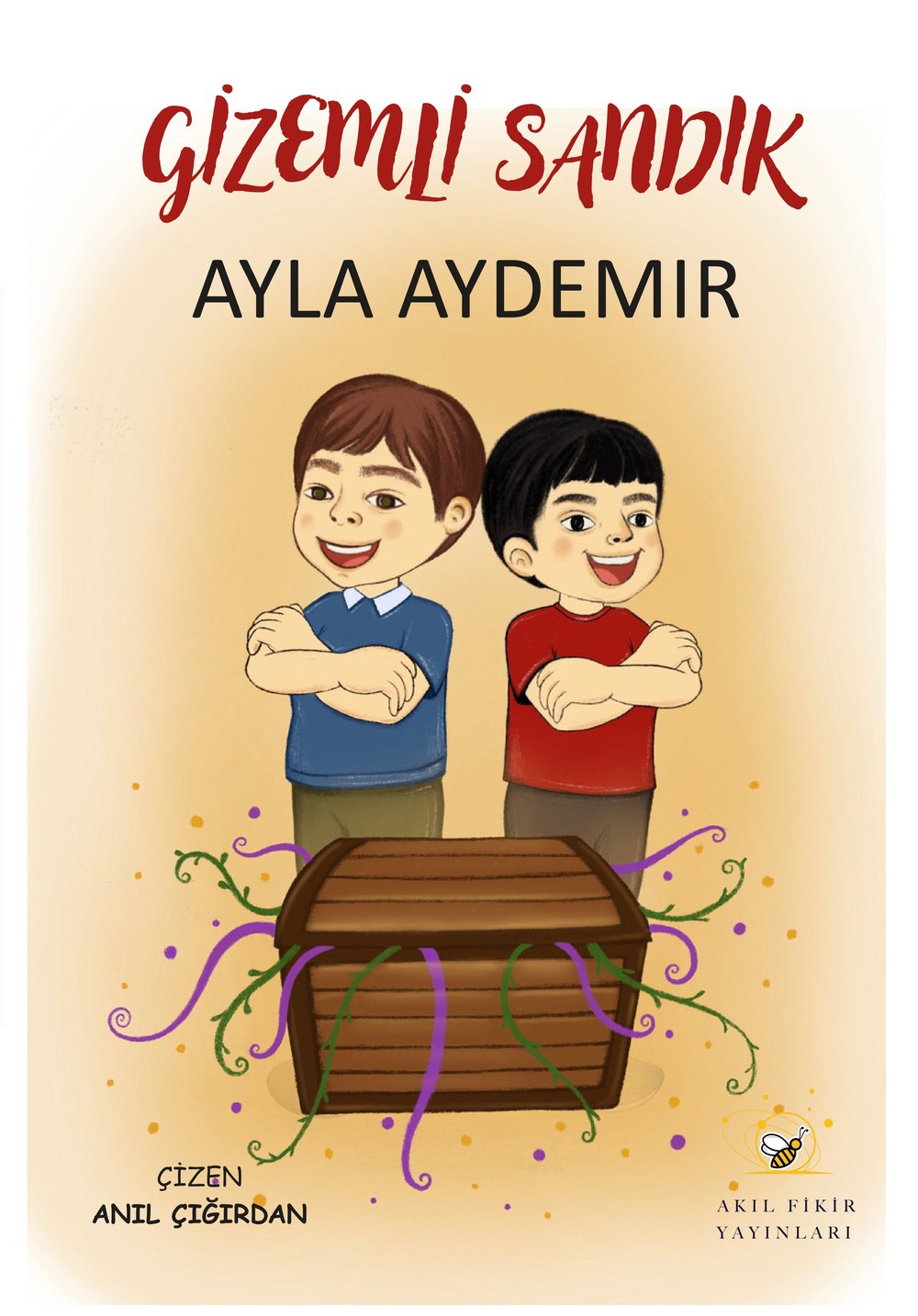 Gizemli Sandık - Ayla Aydemir