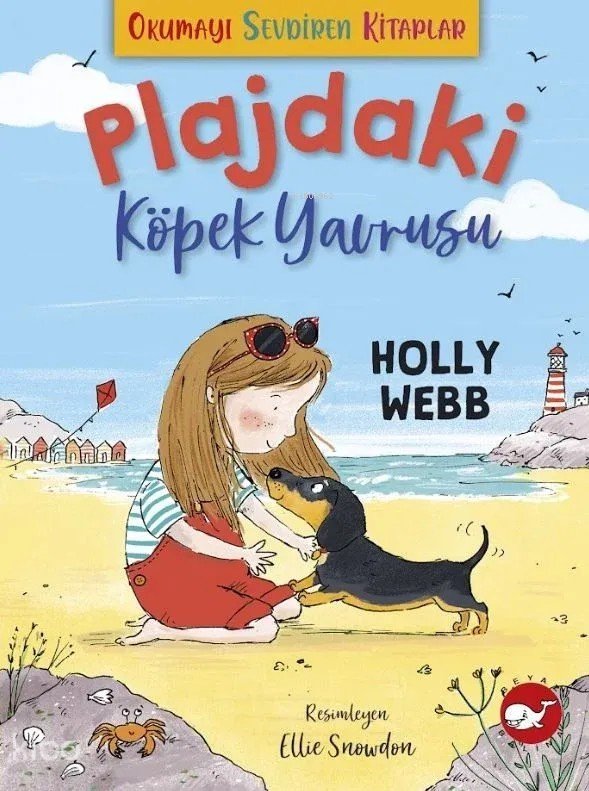 Plajdaki Köpek Yavrusu - Holly Webb
