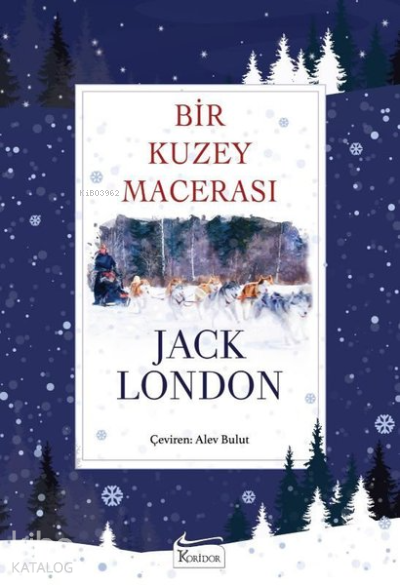 BİR KUZEY MACERASI - BEZ CİLT