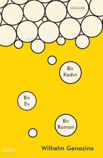 Bir Kadın Bir Ev Bir Roman - Wilhelm Genazino