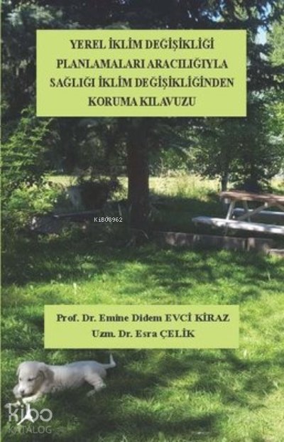 Yerel İklim Değişikliği