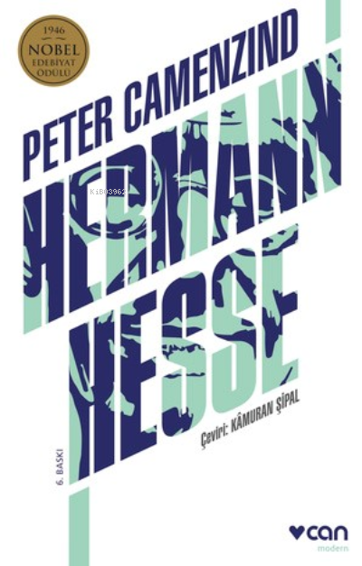 Peter Camenzind - Hermann Hesse