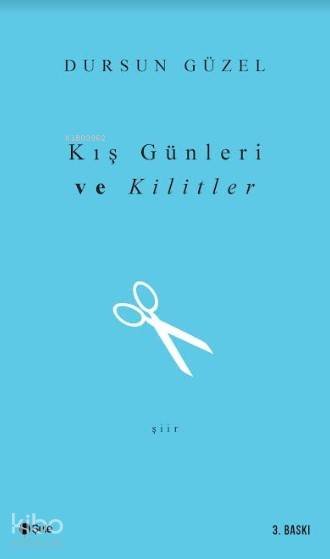Kış Günleri ve Kilitler - Dursun Güzel