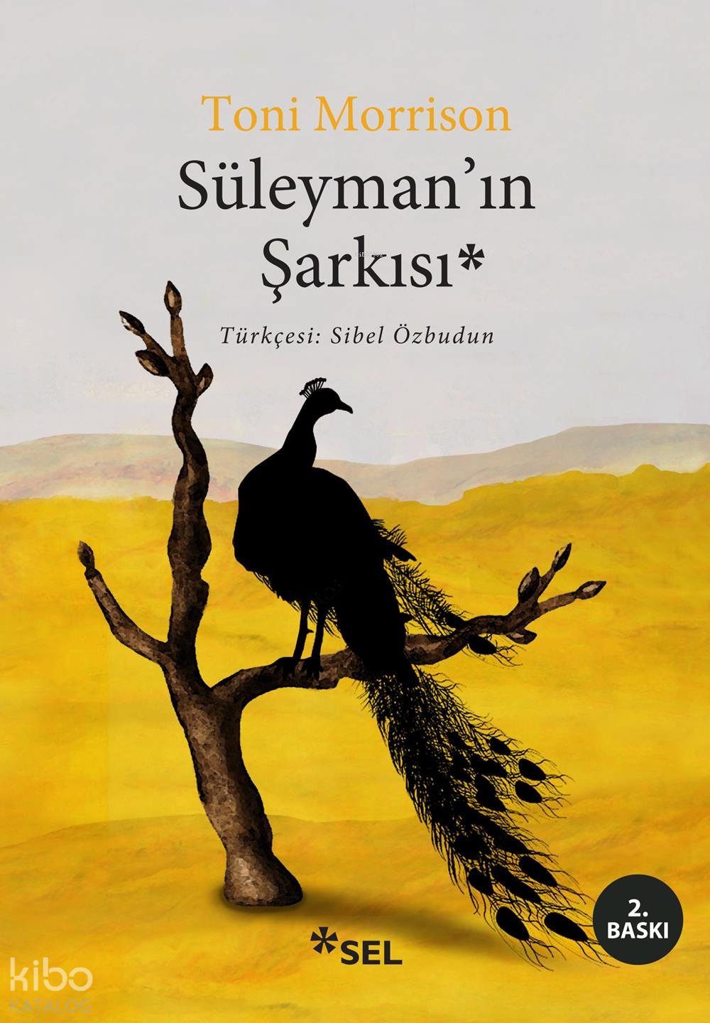 Süleyman'ın Şarkısı