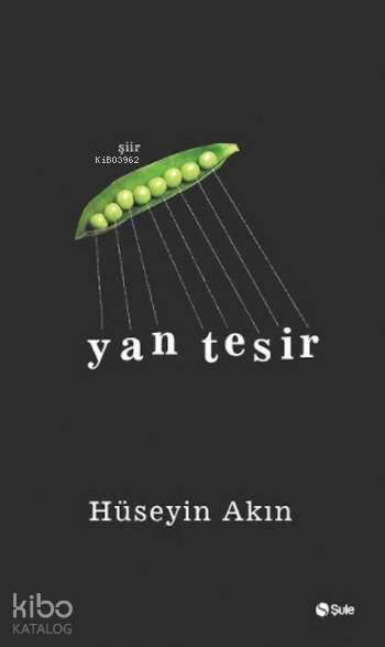 Yan Tesir - Hüseyin Akın