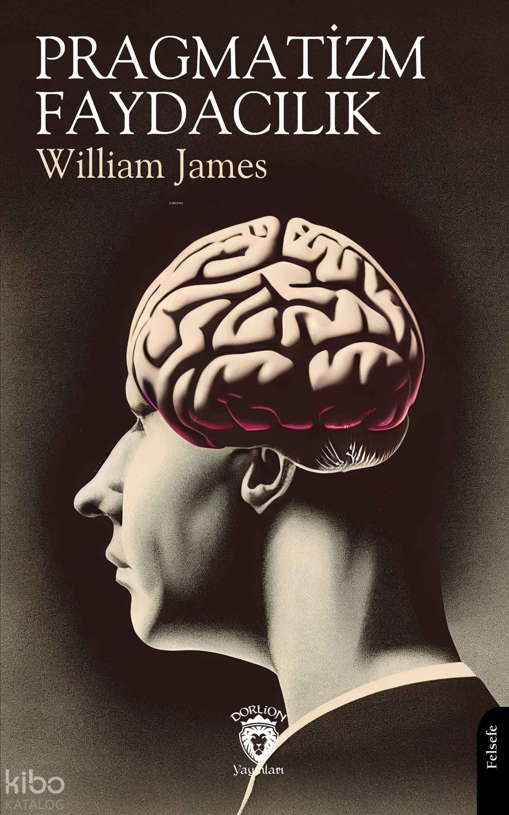 Pragmatizm - Faydacılık - William James