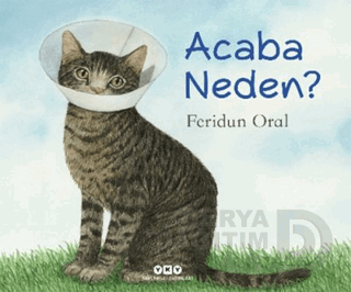 ACEBA NEDEN ? (KARTON KAPAK)