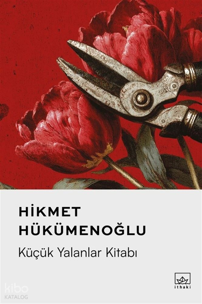 KÜÇÜK YALANLAR KİTABI