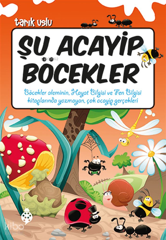 ŞU ACAYİP BÖCEKLER