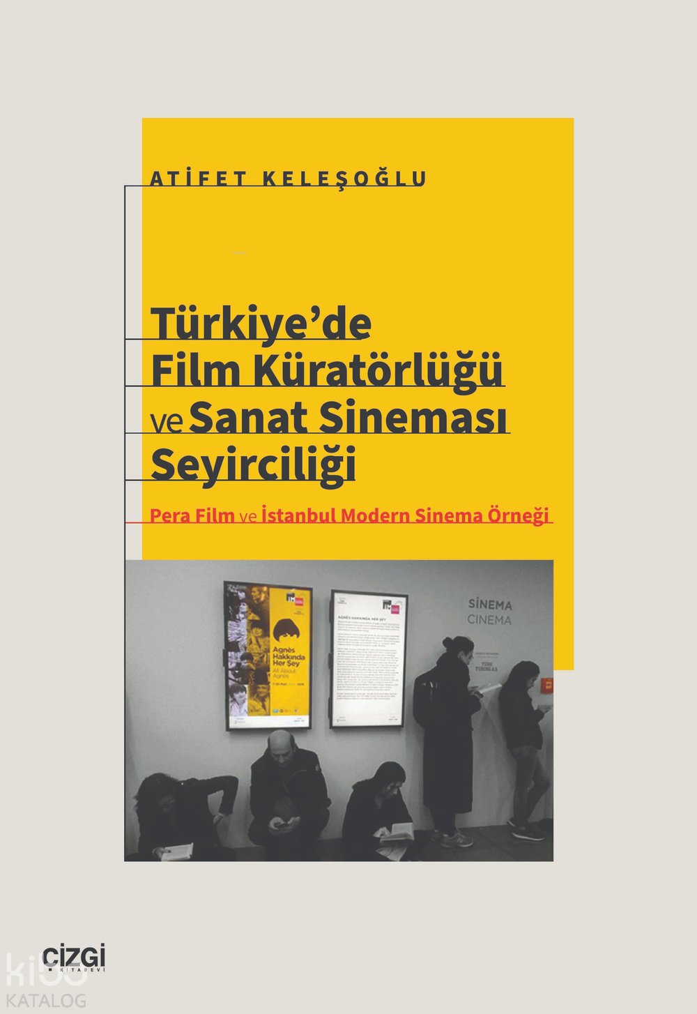 Türkiye’de Film Küratörlüğü ve Sanat Sineması Seyirciliği