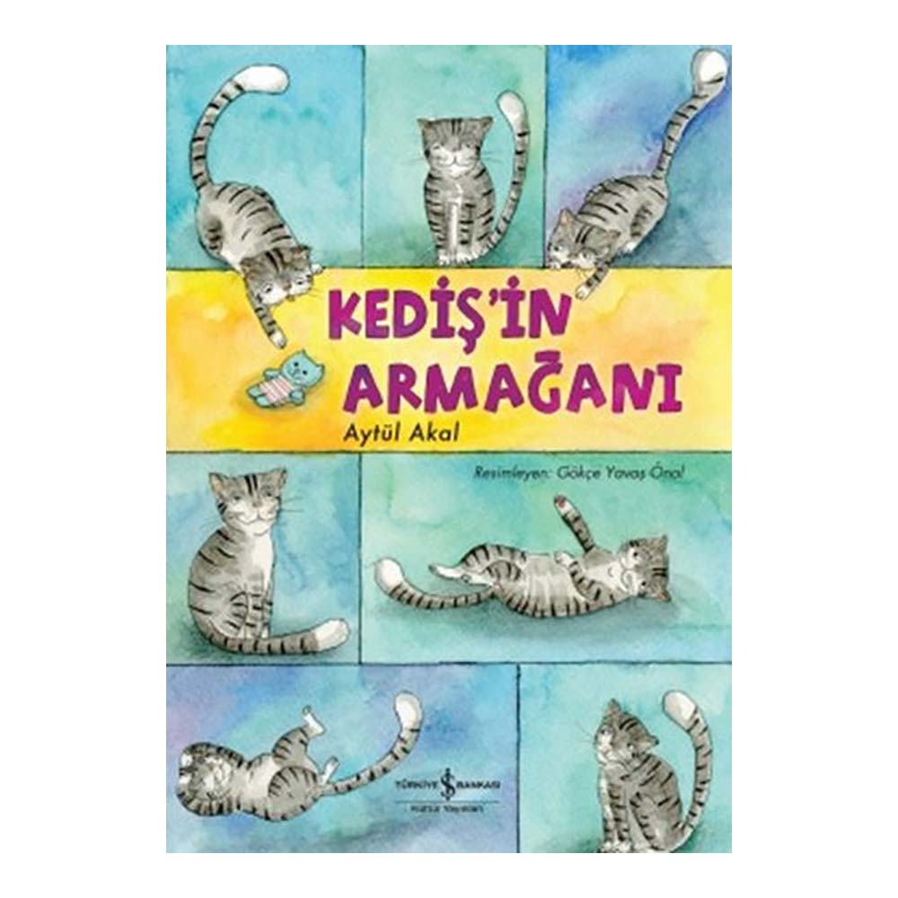 KEDİŞİN ARMAĞANI / AYTÜL AKAL