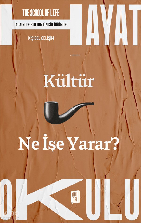 Kültür Ne İşe Yarar?