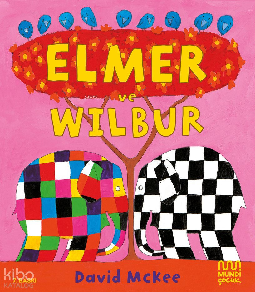 Elmer ve Wilbur - David Mckee