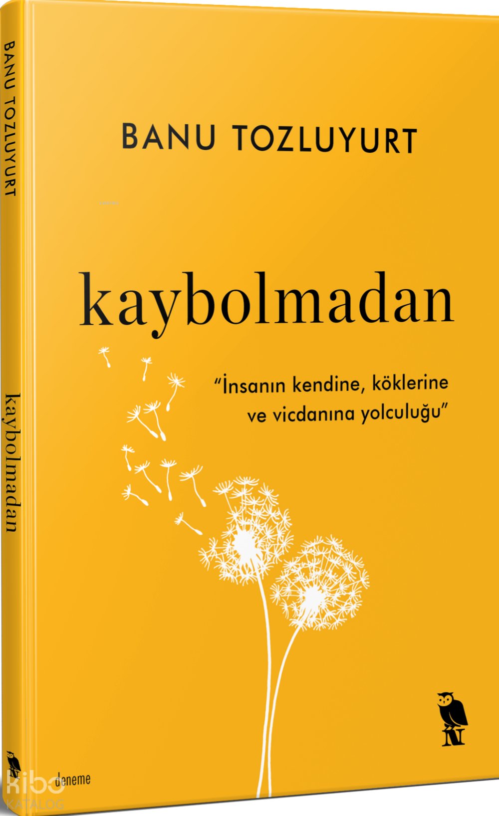 Kaybolmadan