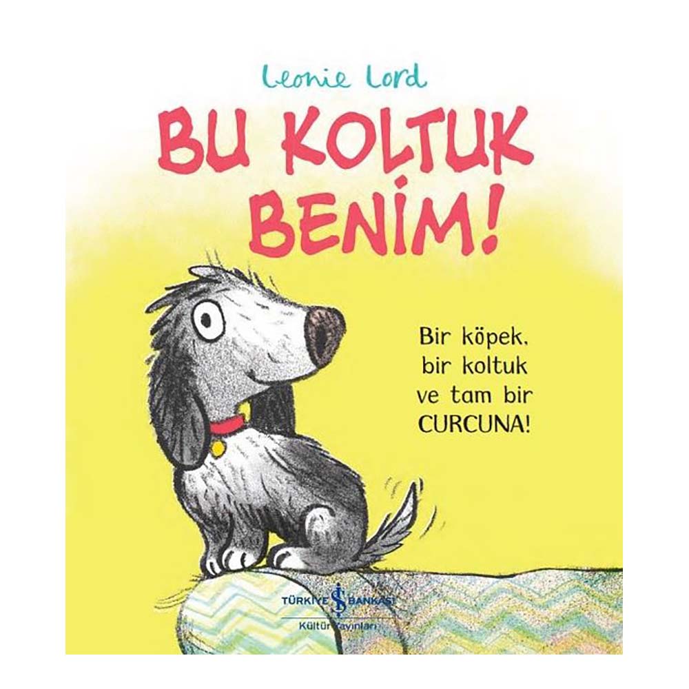 BU KOLTUK BENİM !