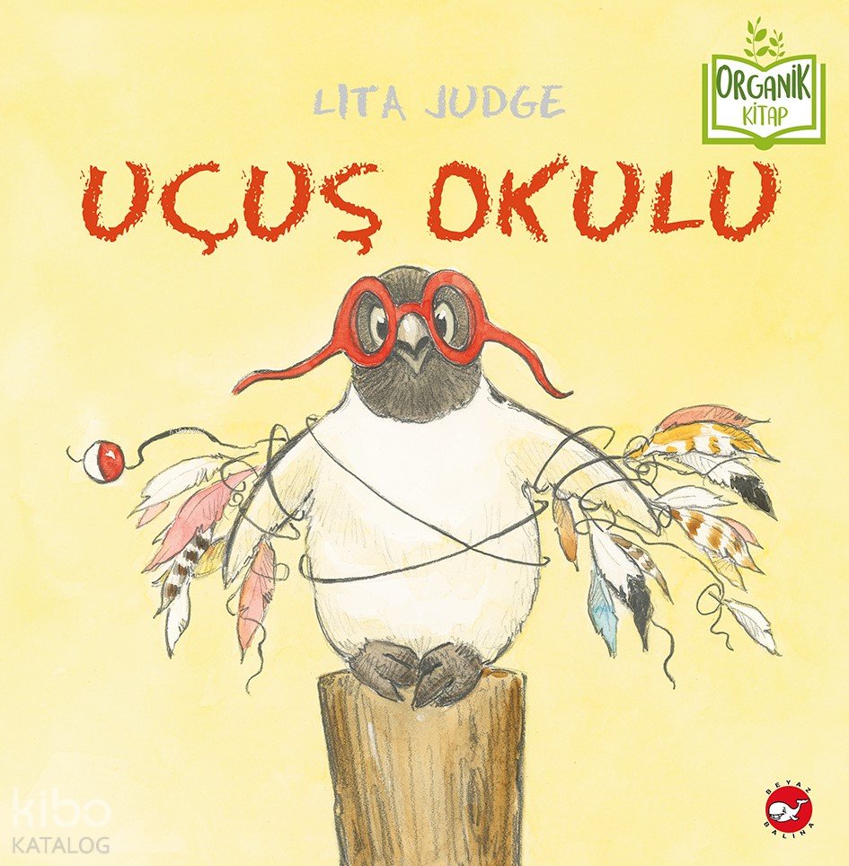 Uçuş Okulu - Lita Judge