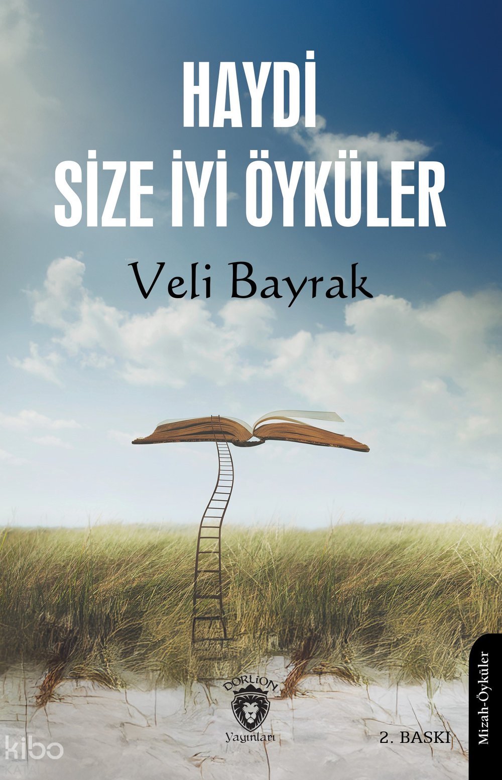 Haydi Size İyi Öyküler - Veli Bayrak