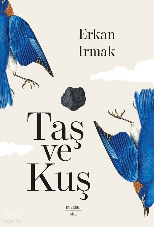 Taş Ve Kuş