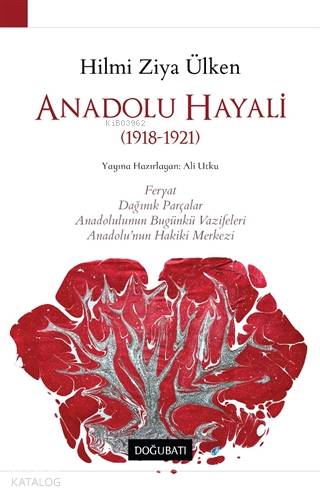 Anadolu Hayali (1918-1921) - Hilmi Ziya Ülken