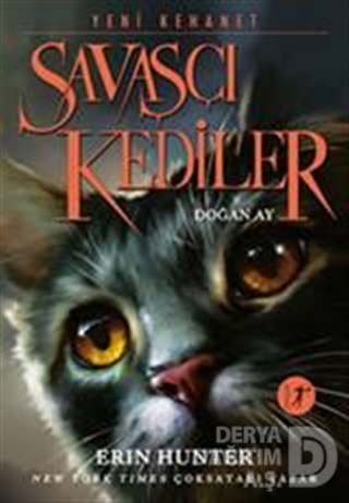 SAVAŞ KEDİLERİ DOĞAN AY