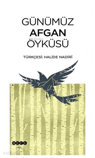 Günümüz Afgan Öyküsü