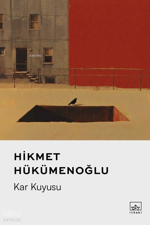 Kar Kuyusu - Hikmet Hükümenoğlu