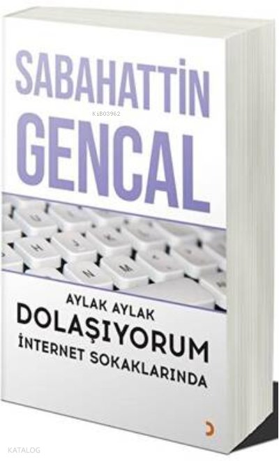 Aylak Aylak Dolaşıyorum İnternet Sokaklarında - Sabahattin Gencal