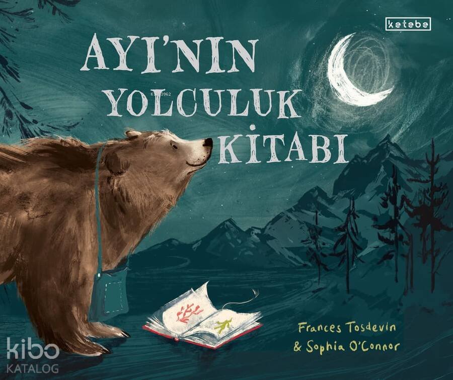 Ayı’nın Yolculuk Kitabı